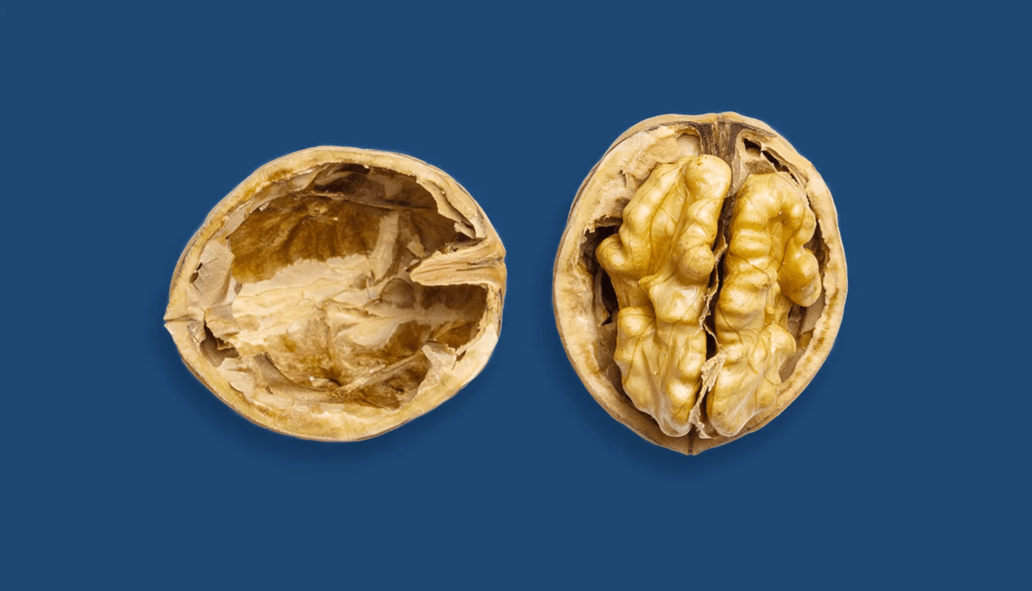 Novembro Azul: saúde do homem e câncer de próstata - Dr. JONES. Em fundo azul, imagem de uma noz partida, uma vez que a próstata se assemelha a esse fruto.